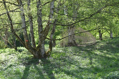 grotte-sque - small